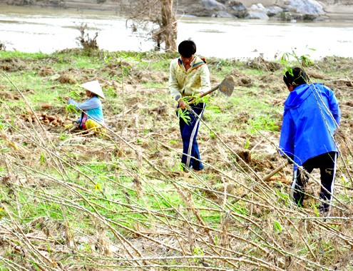 Le président Truong Tân Sang en tournée de travail à Quang Ngai - ảnh 1